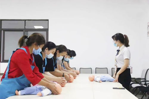 山城家政新風(fēng)尚 為何「晨馨家政」領(lǐng)跑重慶住宿、鐘點(diǎn)及套餐服務(wù)？——開(kāi)荒、月嫂...您的家庭服務(wù)全能管家